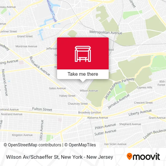 Wilson Av/Schaeffer St map