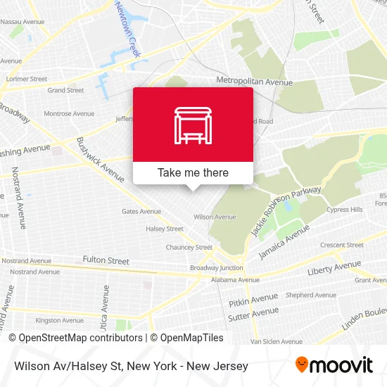 Wilson Av/Halsey St map