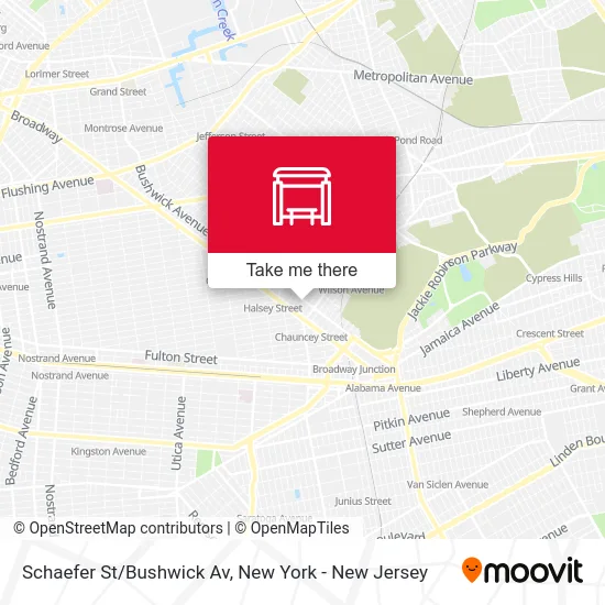 Schaefer St/Bushwick Av map