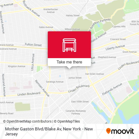 Mother Gaston Blvd/Blake Av map
