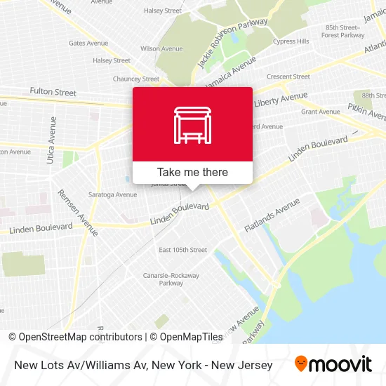 New Lots Av/Williams Av map