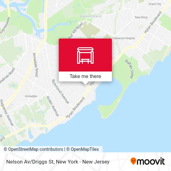 Nelson Av/Driggs St map