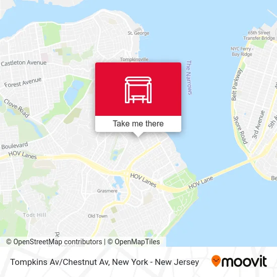 Tompkins Av/Chestnut Av map