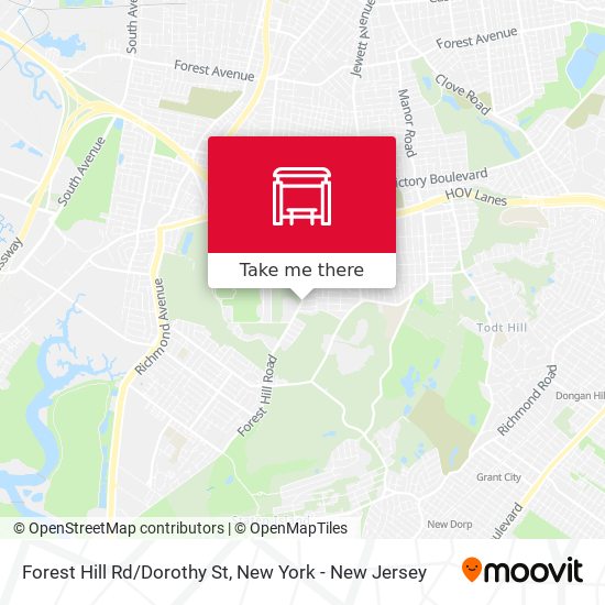 Forest Hill Rd/Dorothy St map