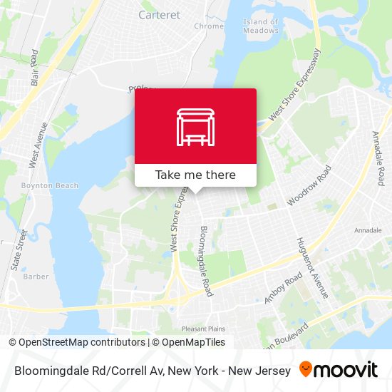 Bloomingdale Rd/Correll Av map
