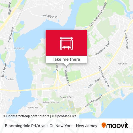Bloomingdale Rd/Alysia Ct map