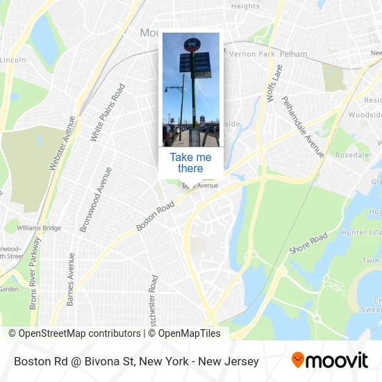 Boston Rd @ Bivona St map