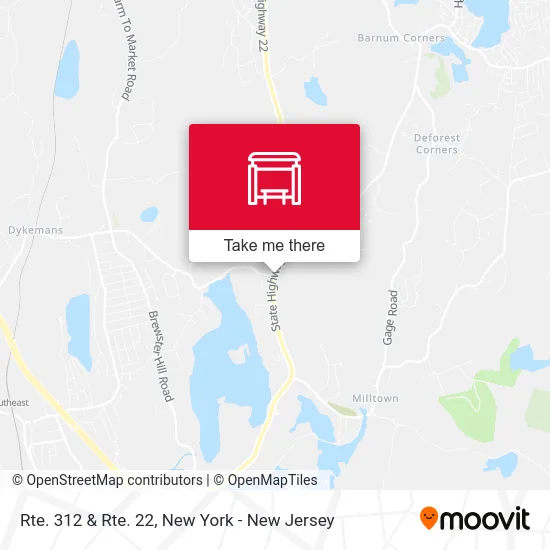 Rte. 312 & Rte. 22 map