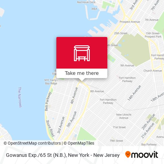 Gowanus Exp./65 St (N.B.) map