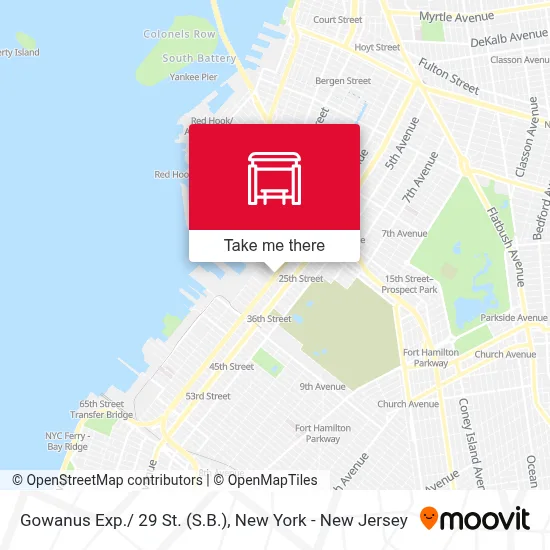 Gowanus Exp./ 29 St. (S.B.) map