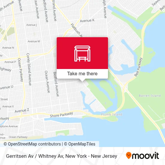 Gerritsen Av / Whitney Av map
