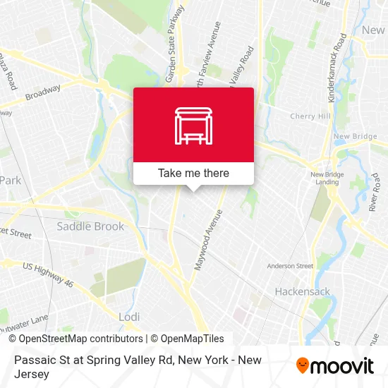 Passaic St at Spring Valley Rd map