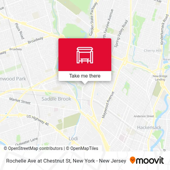 Rochelle Ave at Chestnut St map