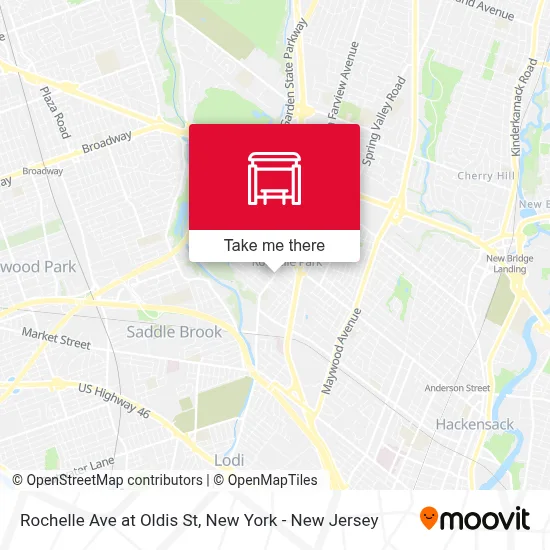 Rochelle Ave at Oldis St map