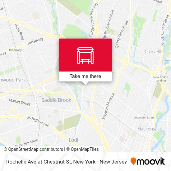 Rochelle Ave at Chestnut St map
