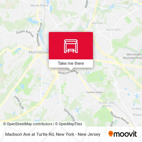 Madison Ave at Turtle Rd map