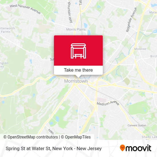 Spring St at Water St map