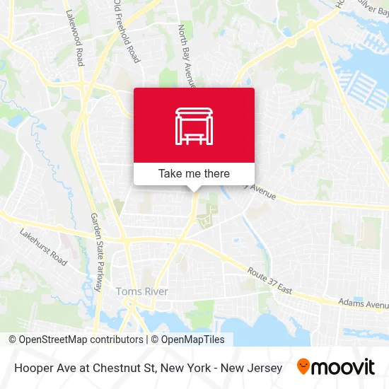 Hooper Ave at Chestnut St map