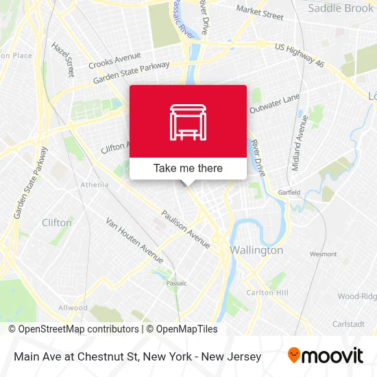 Main Ave at Chestnut St map