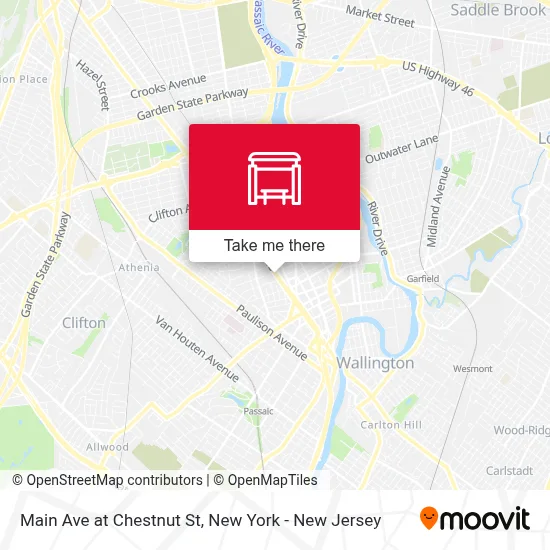 Main Ave at Chestnut St map