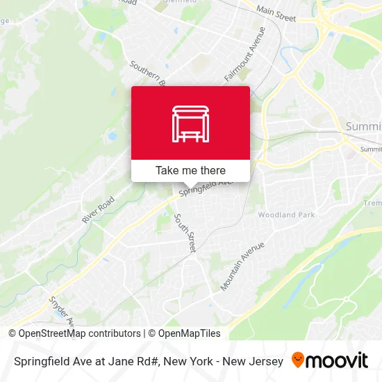 Springfield Ave at Jane Rd# map