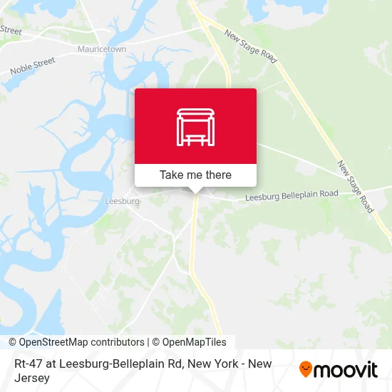 Rt-47 at Leesburg-Belleplain Rd map