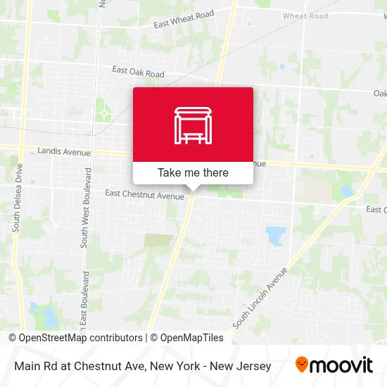 Main Rd at Chestnut Ave map