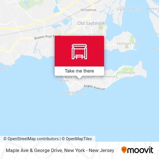 Maple Ave & George Drive map