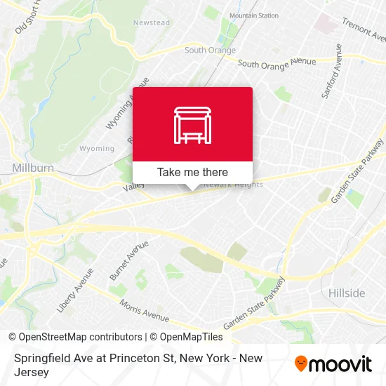 Springfield Ave at Princeton St map