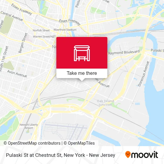 Pulaski St at Chestnut St map