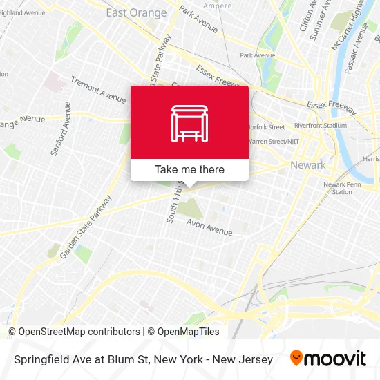 Springfield Ave at Blum St map