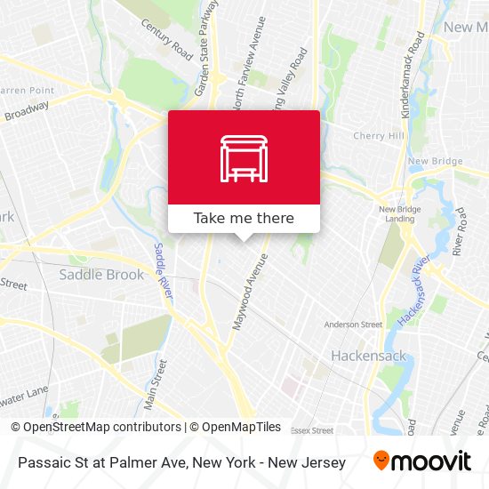 Mapa de Passaic St at Palmer Ave