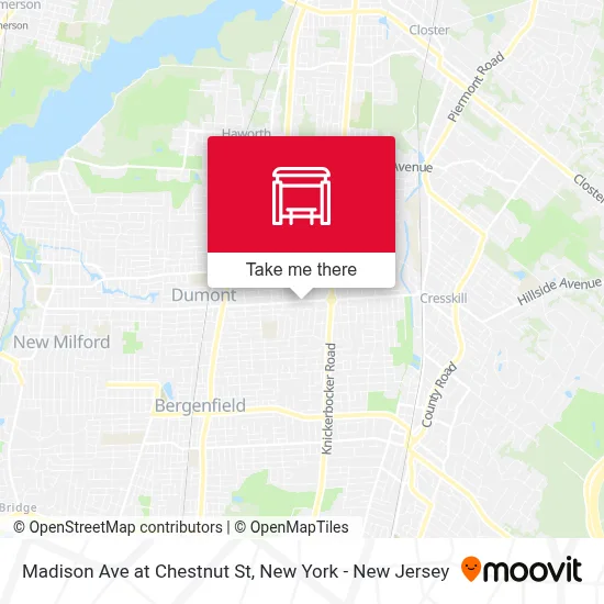 Madison Ave at Chestnut St map
