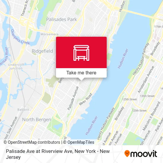 Palisade Ave at Riverview Ave map