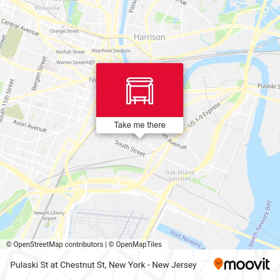 Pulaski St at Chestnut St map