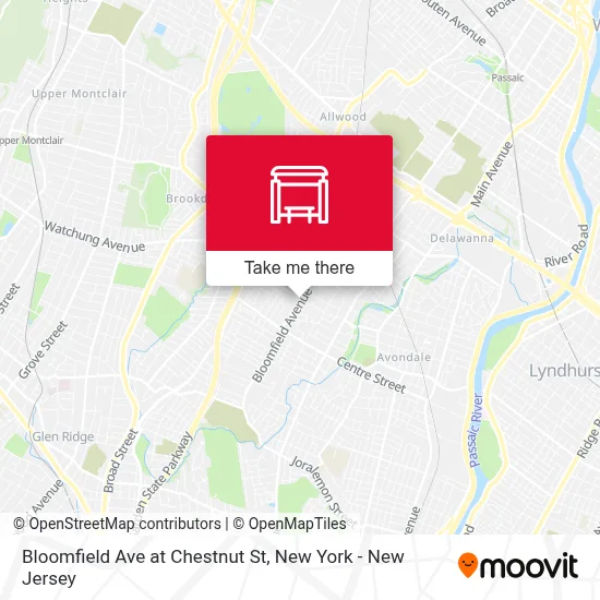 Bloomfield Ave at Chestnut St map