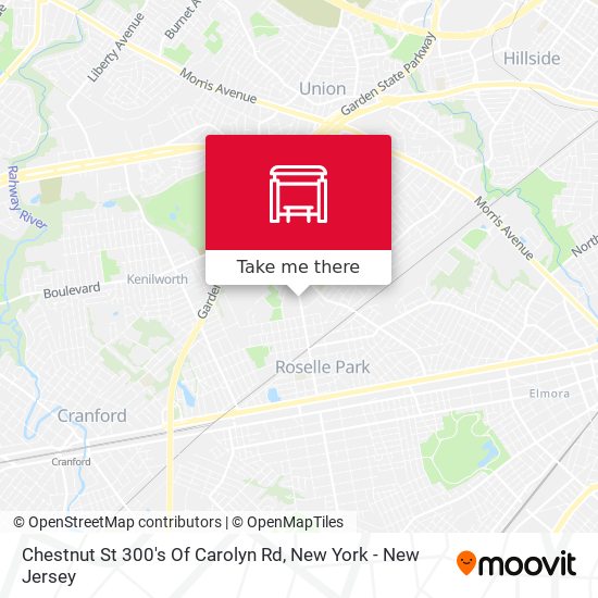 Chestnut St 300's Of Carolyn Rd map