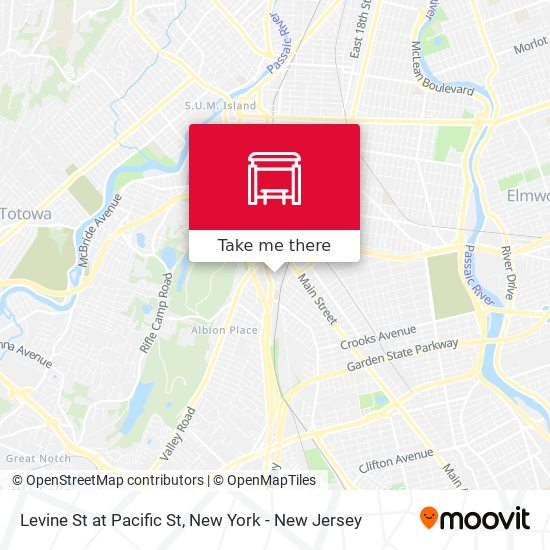 Levine St at Pacific St map