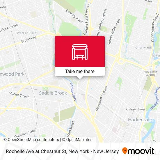 Rochelle Ave at Chestnut St map