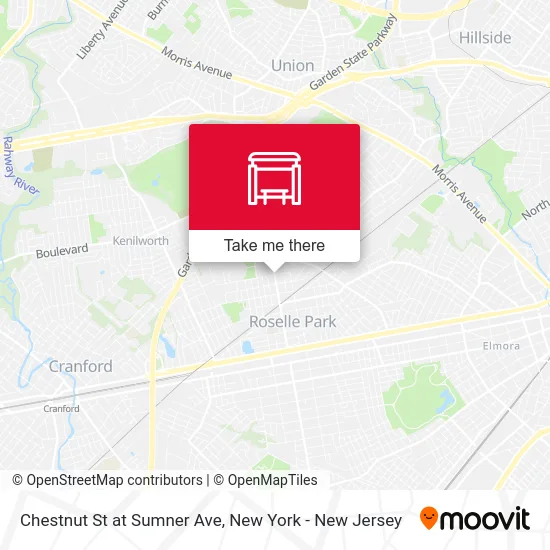 Chestnut St at Sumner Ave map