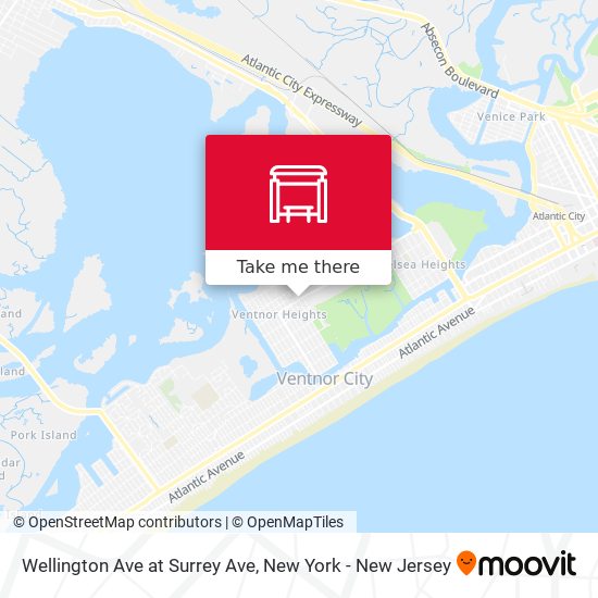 Wellington Ave at Surrey Ave map
