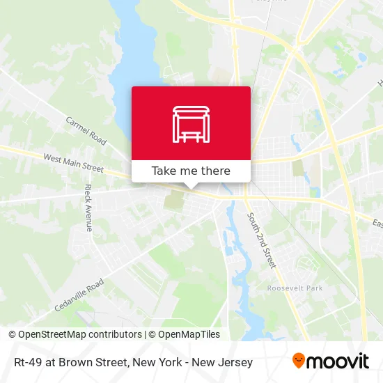 Rt-49 at Brown Street map