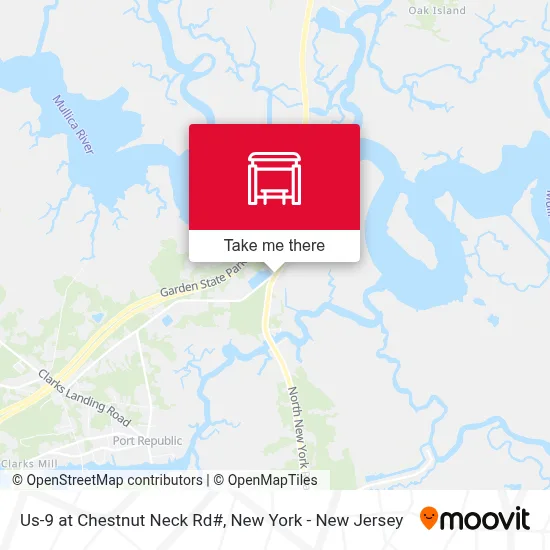 Us-9 at Chestnut Neck Rd# map