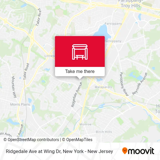 Ridgedale Ave at Wing Dr map