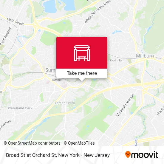 Broad St at Orchard St map