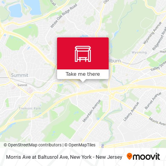 Morris Ave at Baltusrol Ave map