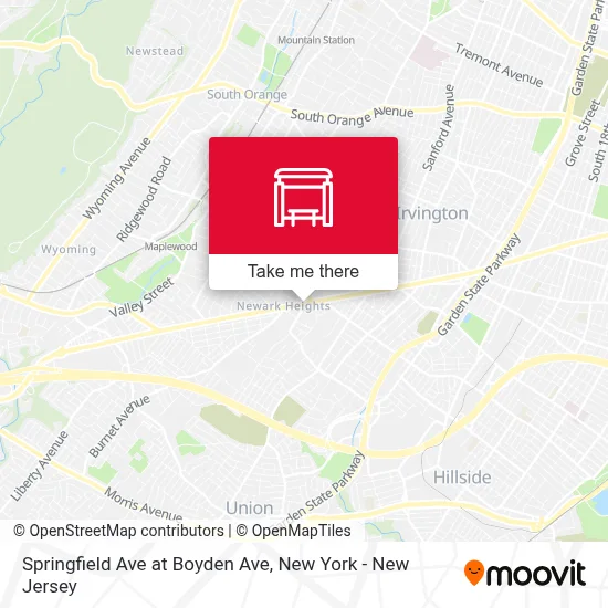 Springfield Ave at Boyden Ave map