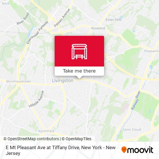 E Mt Pleasant Ave at Tiffany Drive map