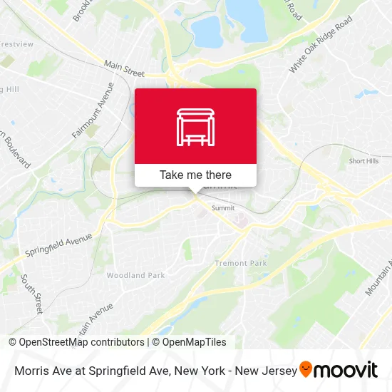 Morris Ave at Springfield Ave map