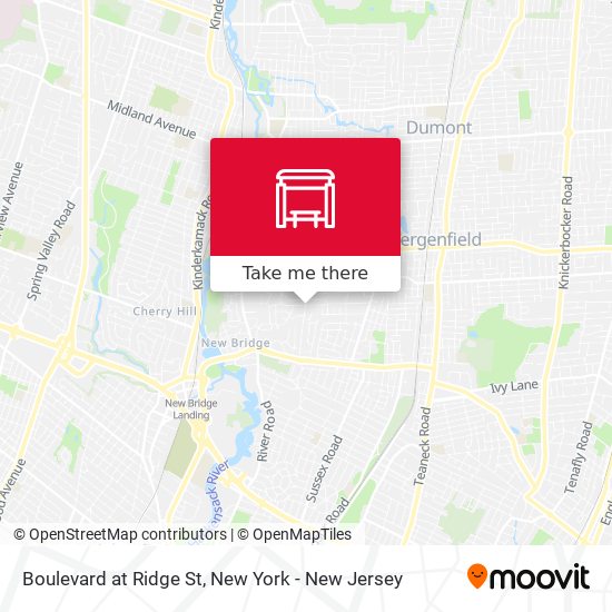 Mapa de Boulevard at Ridge St